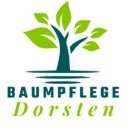 Baumpflege Dorsten
